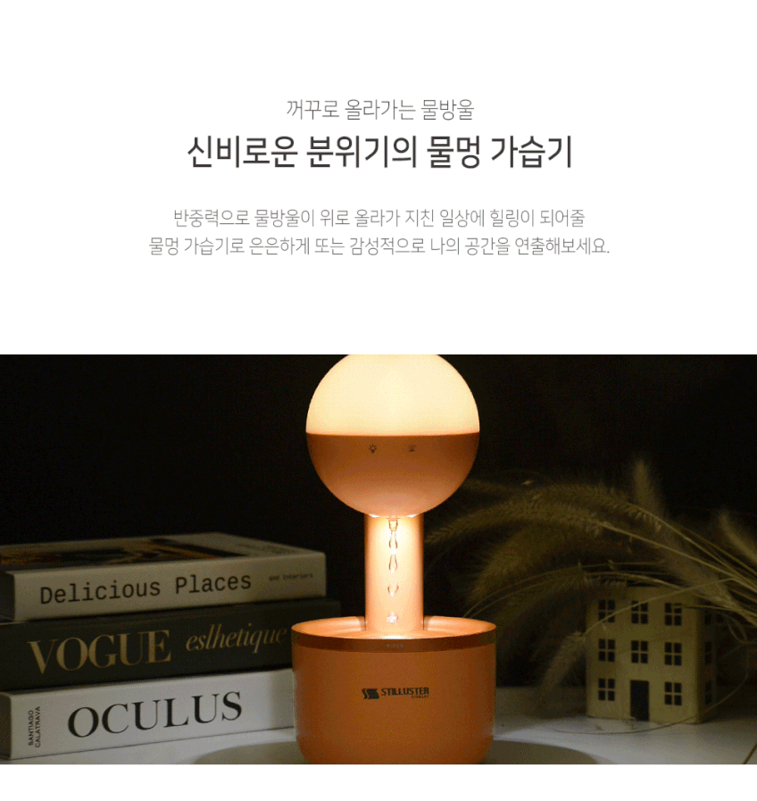 상세 이미지