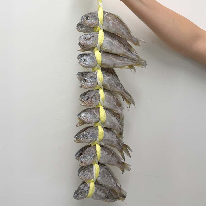 국내산 영광 굴비 1.2kg [18cm내외(16-20마리)]